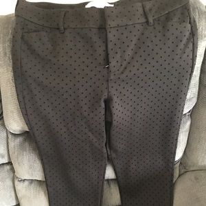 Polka dot black Pixie pant